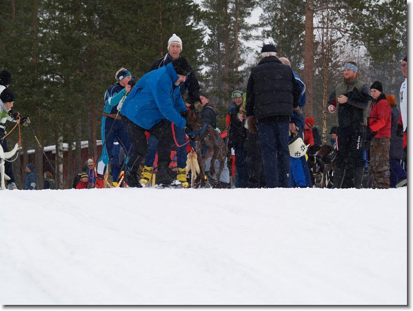 Nästa bild